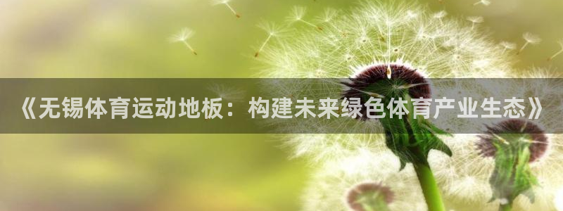 《无锡体育运动地板：构建未来绿色体育产业生态》