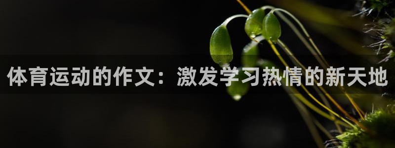 体育运动的作文：激发学习热情的新天地