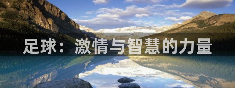 足球：激情与智慧的力量