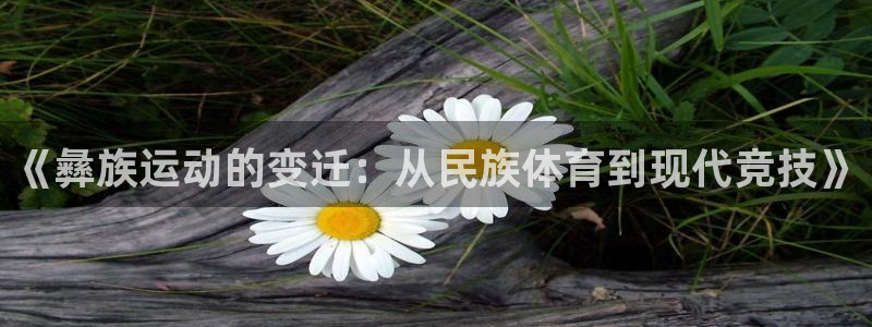 《彝族运动的变迁：从民族体育到现代竞技》