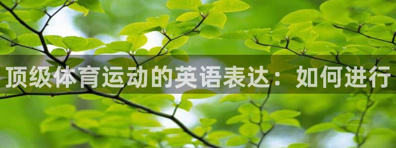 顶级体育运动的英语表达：如何进行